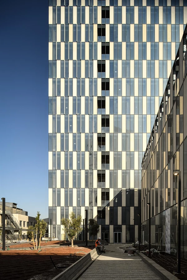 איך בוחרים שולחן סלון שישדרג את הסלון כולו