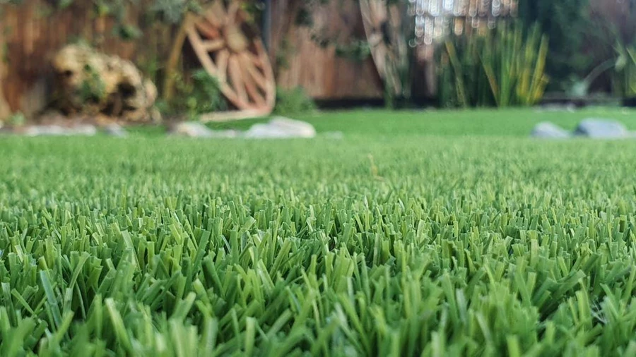 קרדיט התמונה: מקסי דשא סינטטי