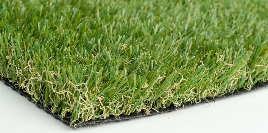 קרדיט התמונה: מקסי דשא סינטטי