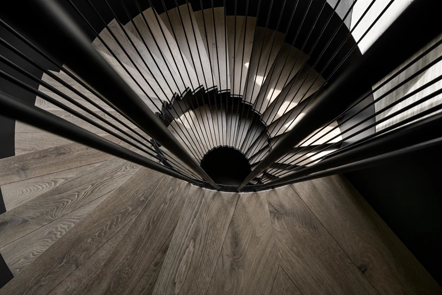 דן והילה ישראלביץ | צלם: עודד סמדר