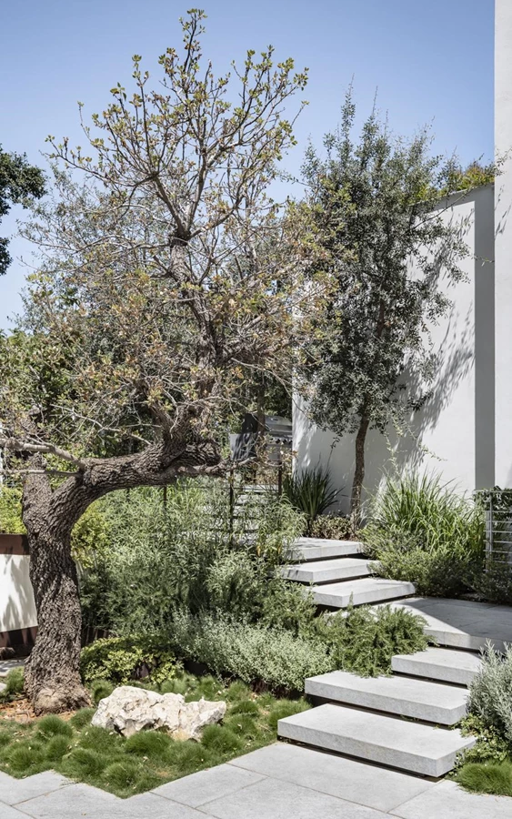 אדריכלות ועיצוב לוי חמיצר , תכנון גינה כרכום עיצוב נוף צלם עמית גירון