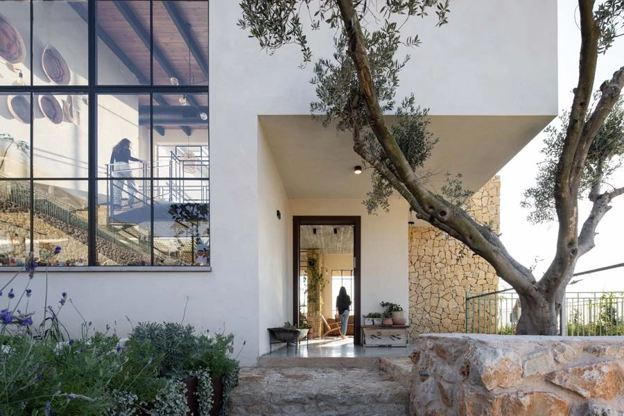 סיבוב פרסה: חוזרים אל המדבר.