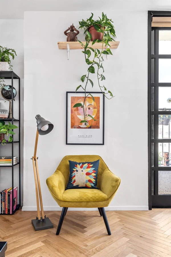 סטודיו טולה, צלם מאור מויאל