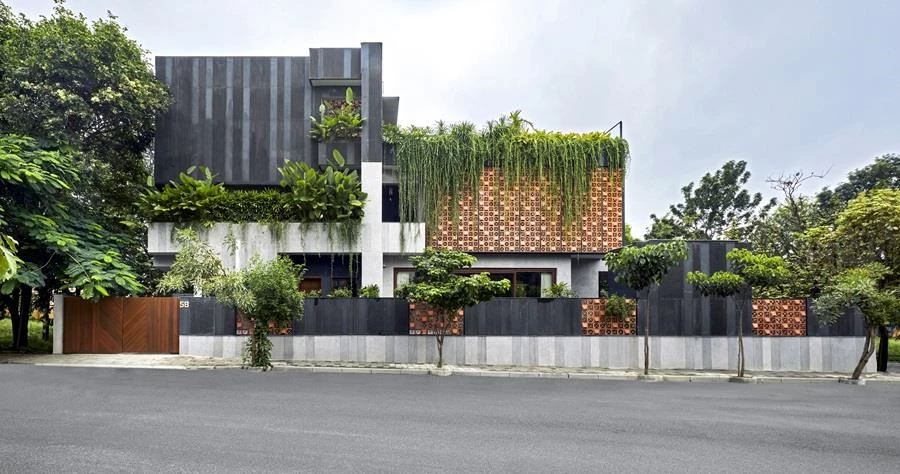 דיאלוג הודי בין האדמה, הרוח והשמש