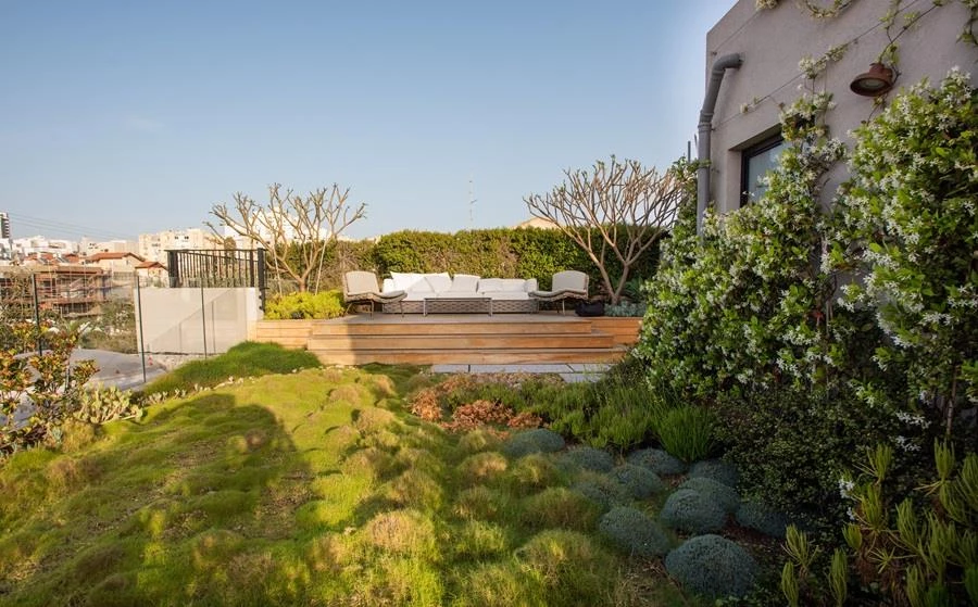 כרכום עיצוב נוף צלם גלעד רדט