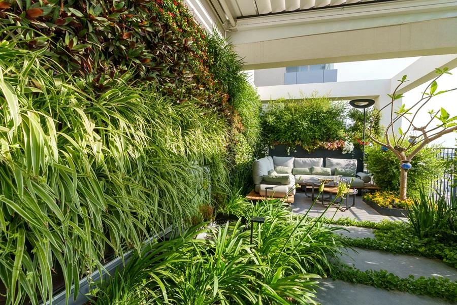 כרכום עיצוב נוף, צלם אלון גרגו