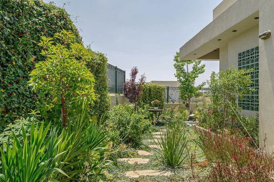 צילום: מאור מויאל | עיצוב: שריתה ורון פלד