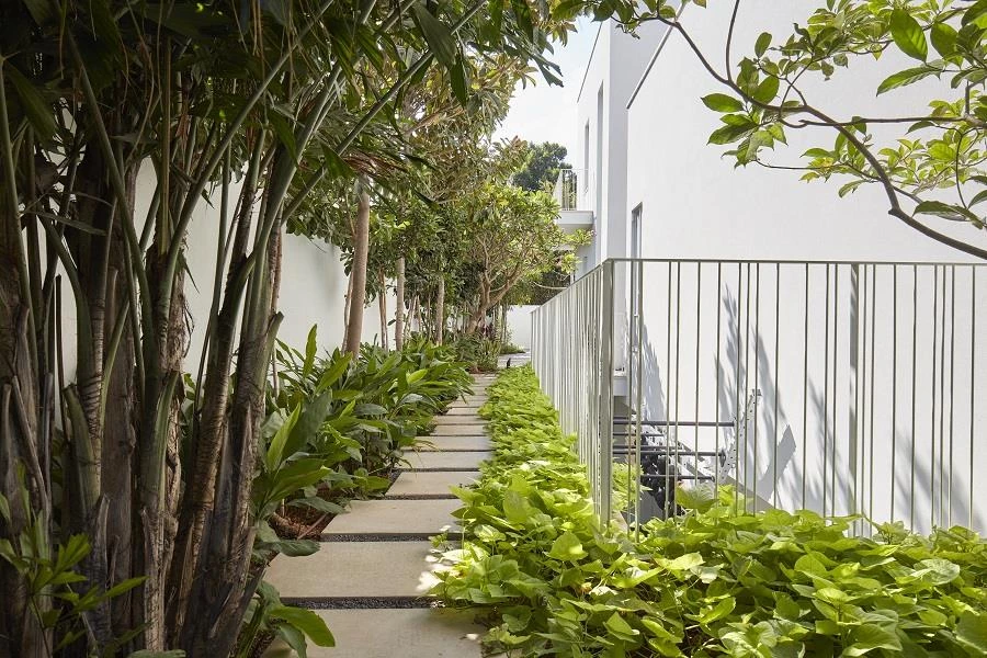 צילום: שי גיל | תכנון ועיצוב: שלומית זלדמן