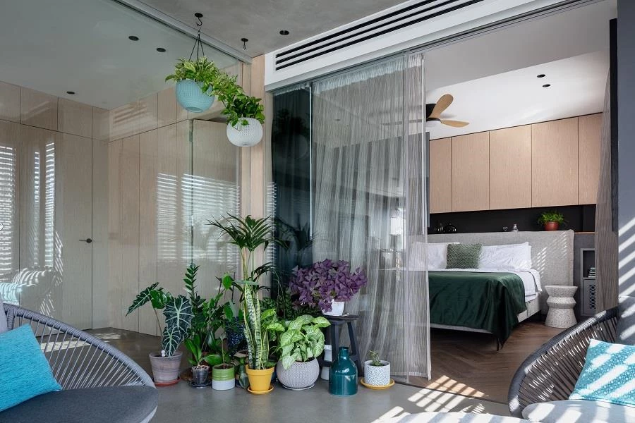 אהבה ממבט ראשון