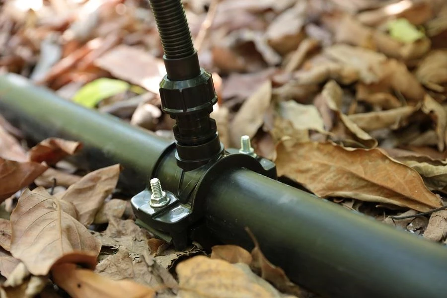 אצל פלס-פיט הירוק נמצא גם בפרטים הקטנים