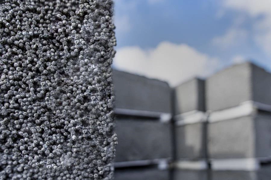 פוליביד: רואים ירוק רואים רחוק