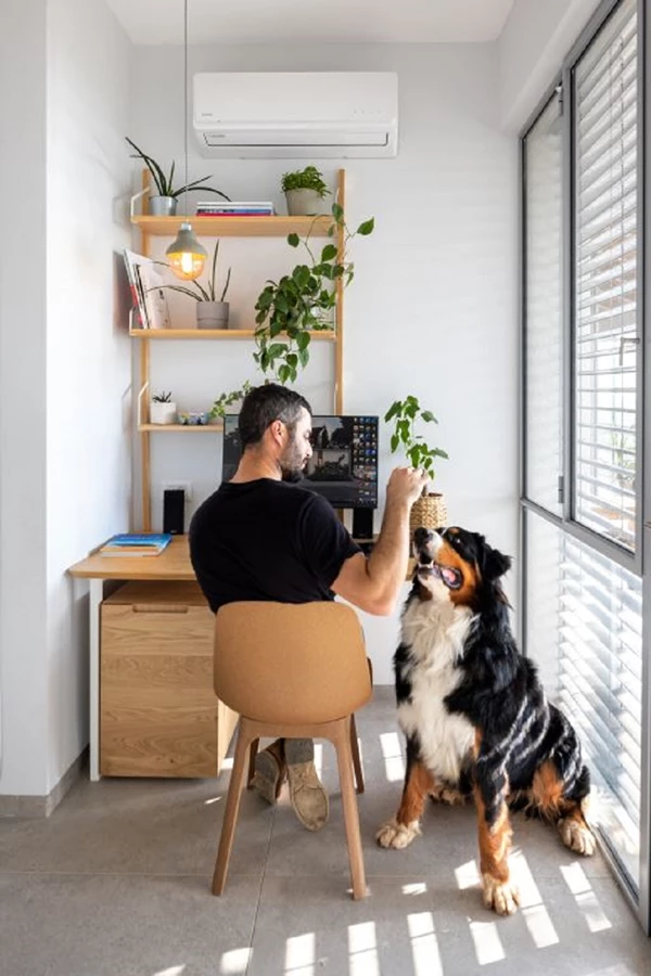 אדריכלות תכנון ועיצוב ינון בן דוד - צלם שי אפשטיין