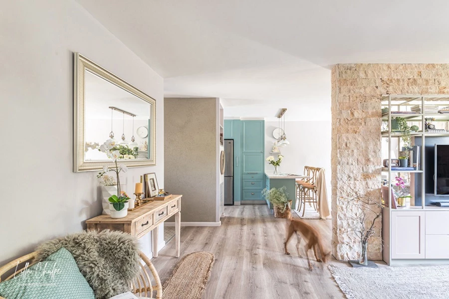 מבט למבואה ולפינת הטלוויזיה עיצוב: לילה צ