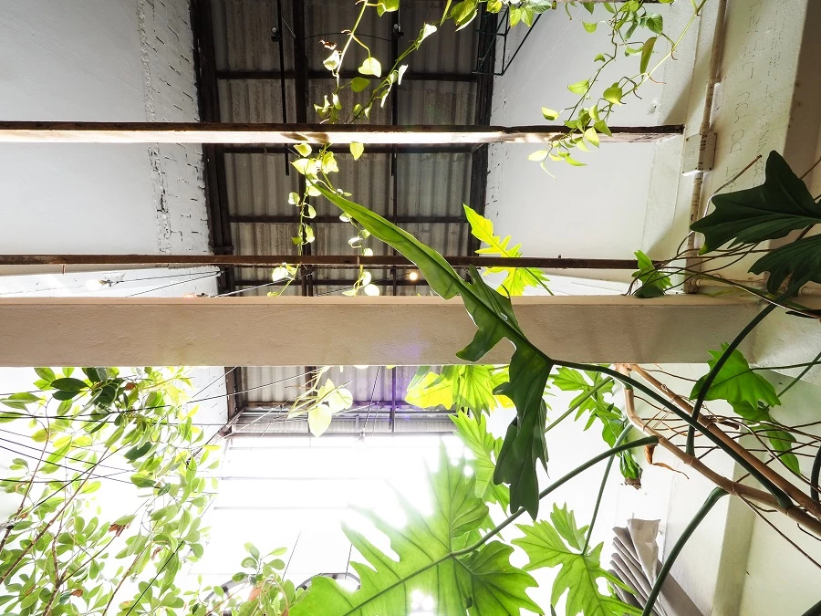 פרויקט: TOO CAN CAFÉ | אדריכלות ותכנון: SOAR