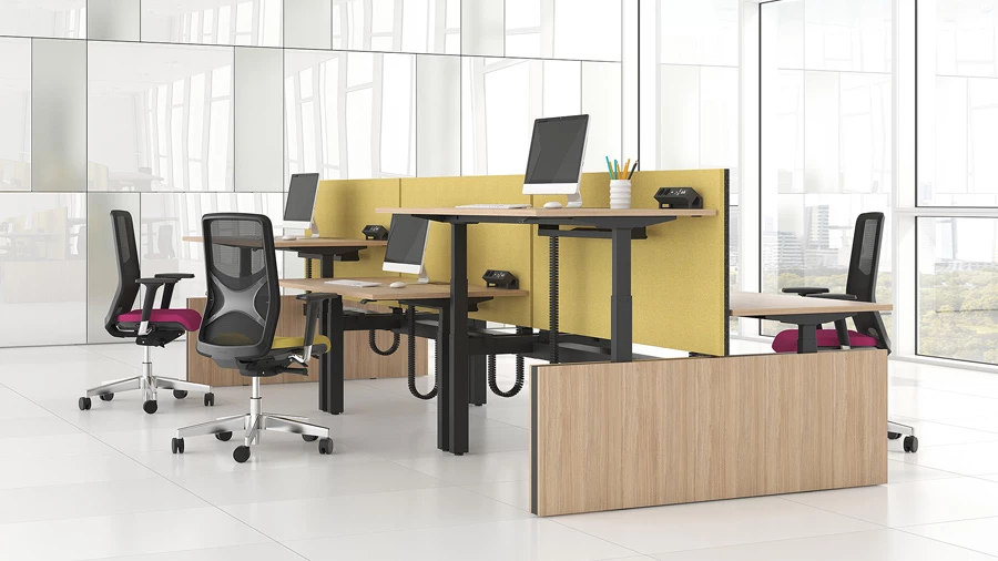 SIT & STAND - הדרך הקלה להישאר פעיל בעבודה