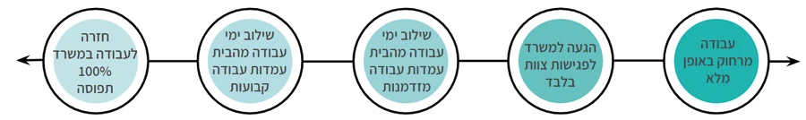 ציר השילוב עדי אדליס