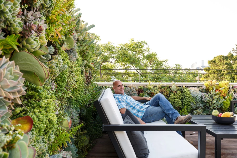 שי דוד, צילום אורית ארנון