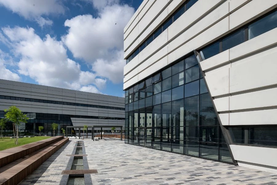 חזית מקומית