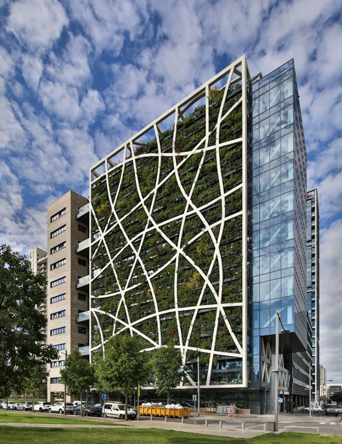 בצמיחה מתמדת