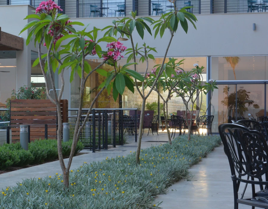 גן במלון על שפת כנרת