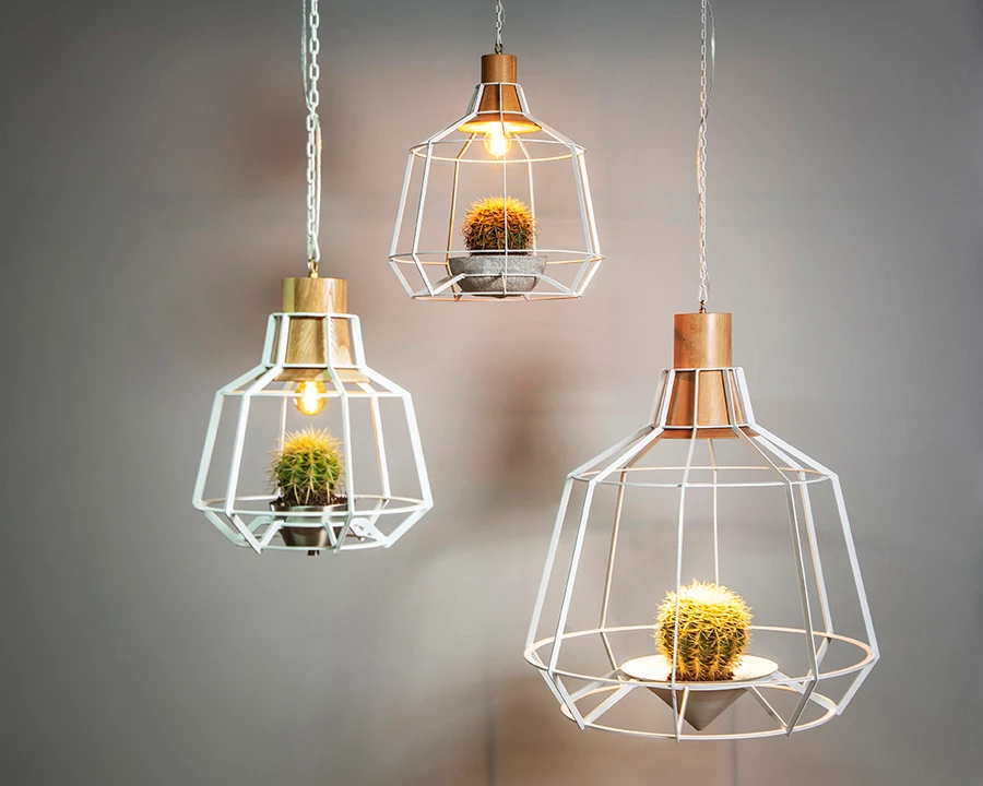 Studio Beam: מאירים את הקיץ