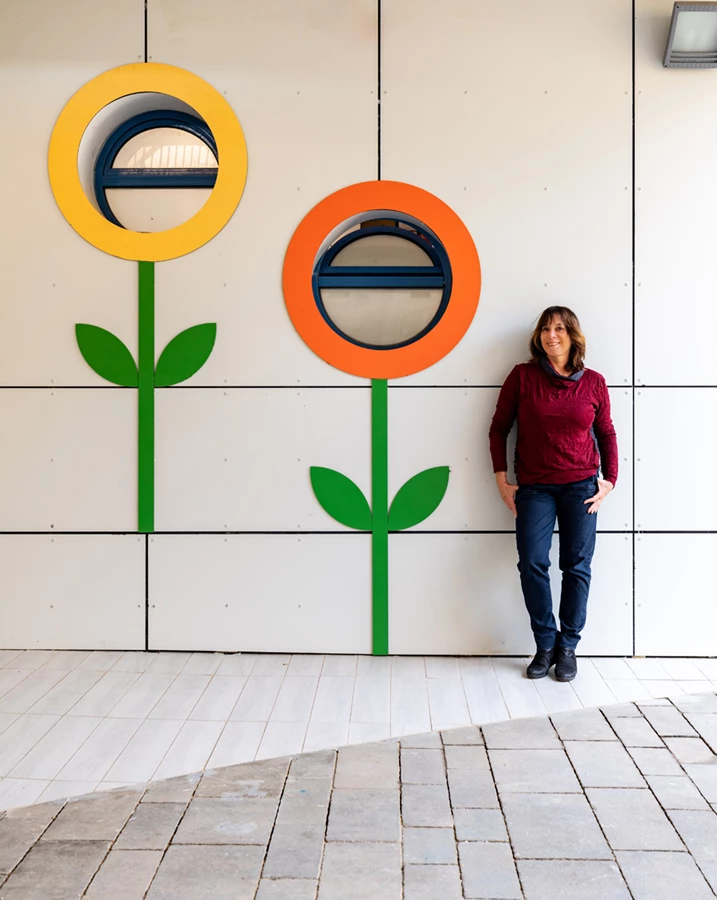 צעצוע של גן