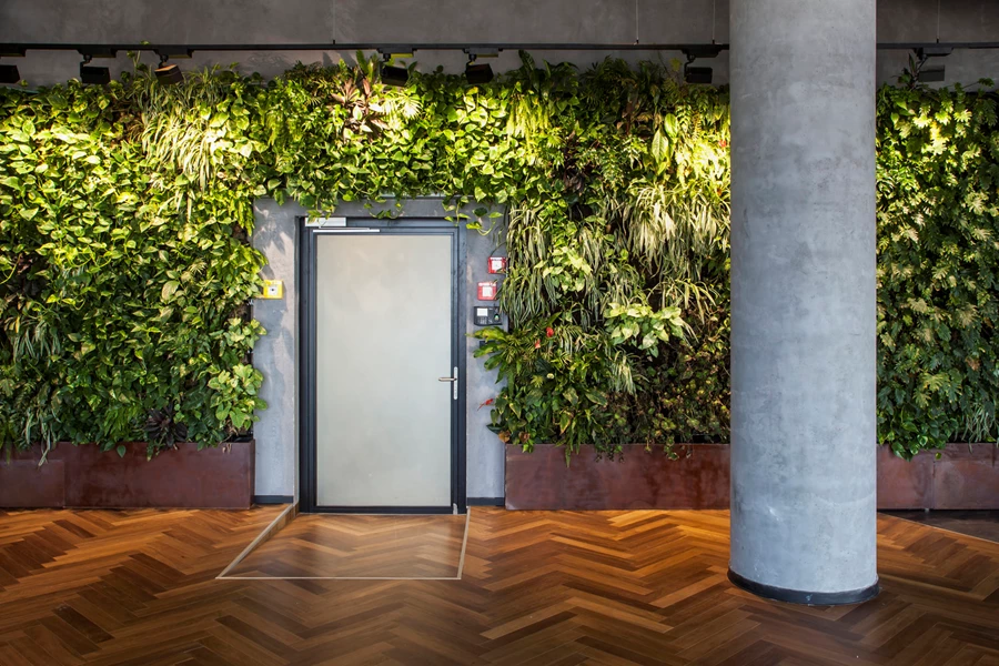 פתרון אורבני של צמחיה לגובה