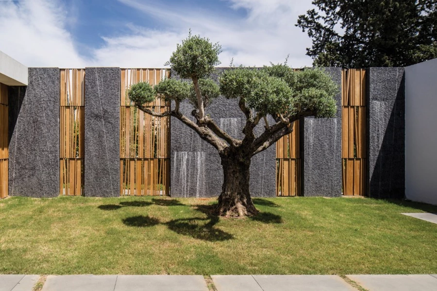 מעטפת המבנה – פנים וחוץ