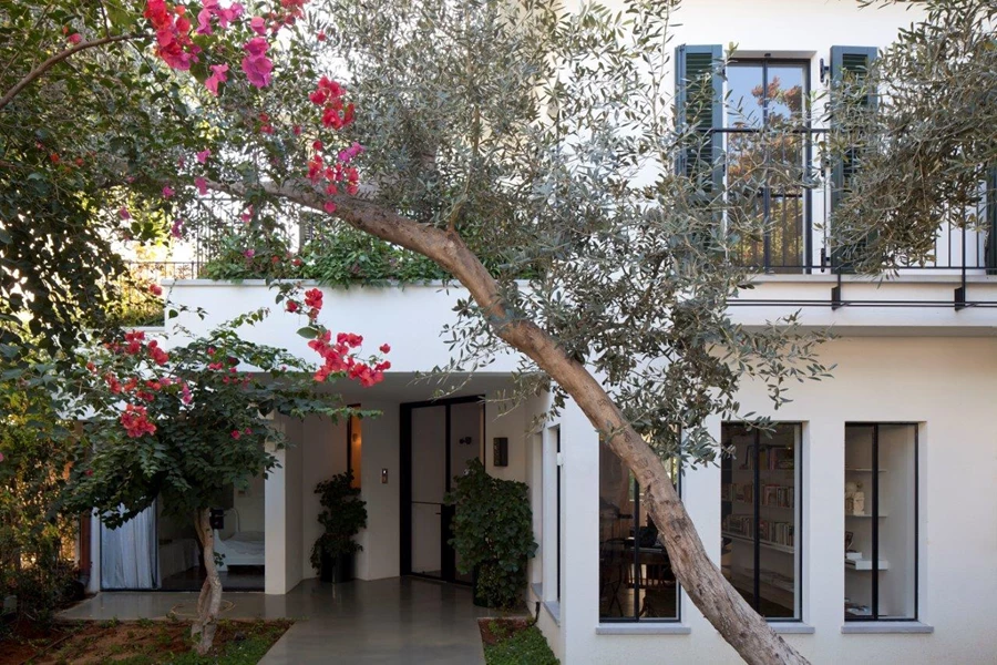 הבית ברחוב ההולנדי