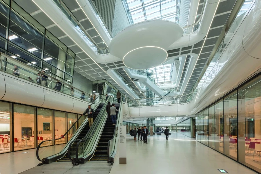 גלגלי הצלחה