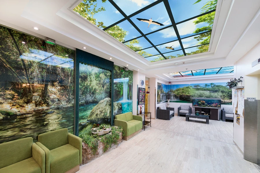 מבט אמנותי אל האופק