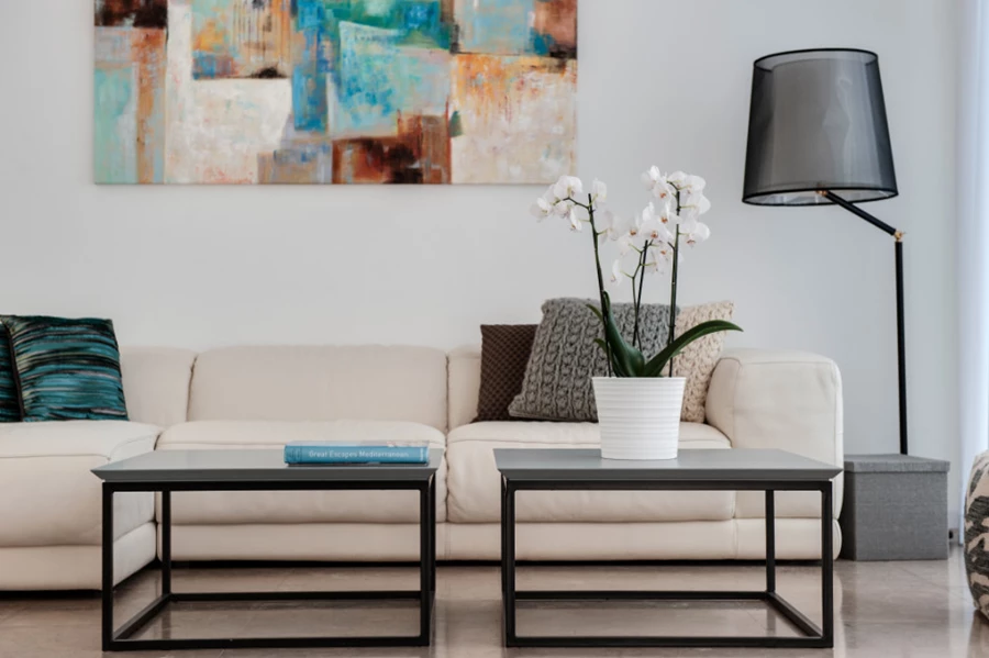 צילום: עודד סמדר