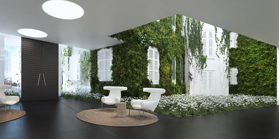 מטפסים על קירות