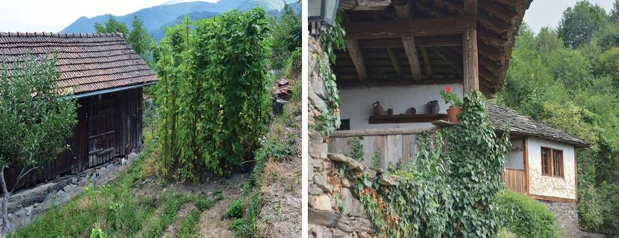 חפצים שימושיים הופכים לחלק עיצובי.