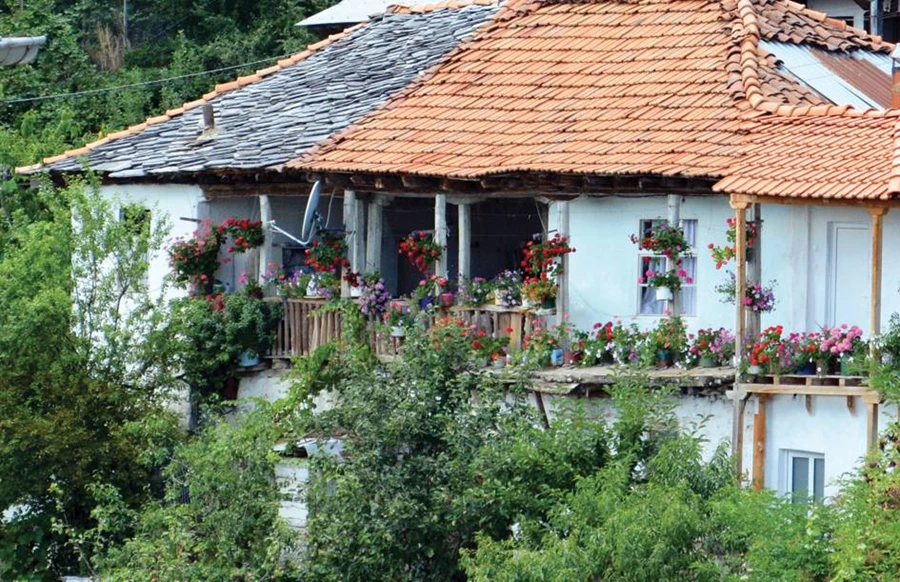 הבית הפורח של פנקה