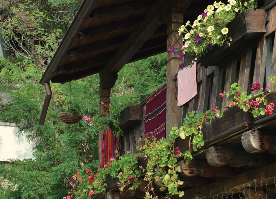 מרפסות פורחות