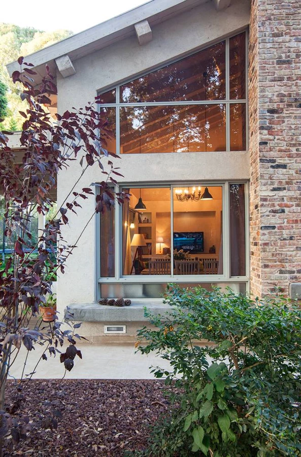 חלון אל צמרות העצים