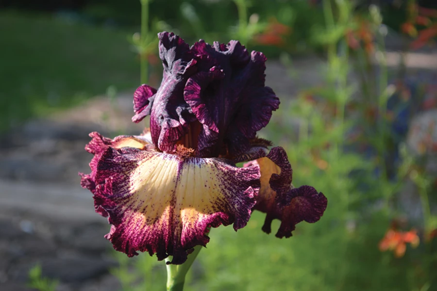 רואים את הפרטים הקטנים כבר בתחילת התהליך.