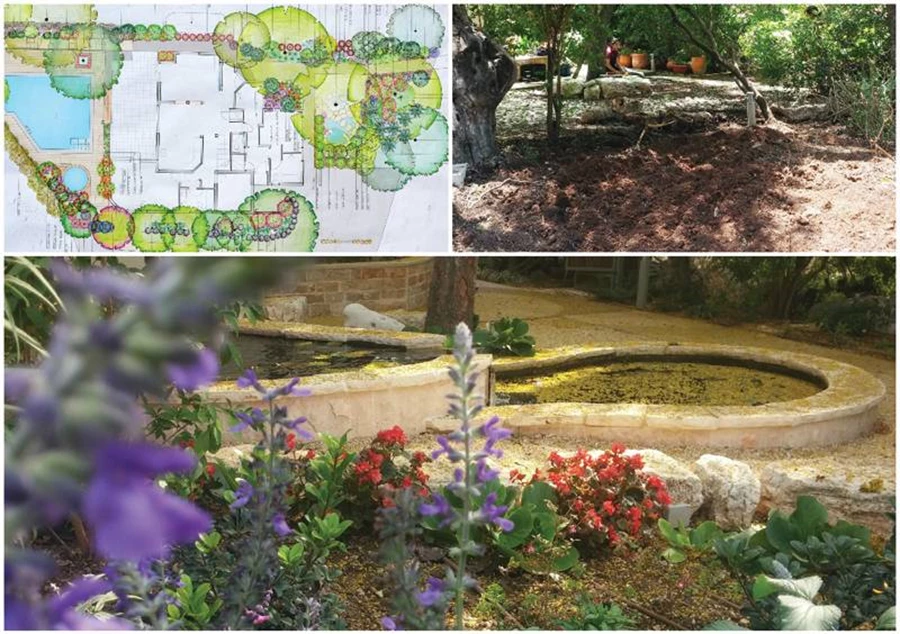 בריכת נוי - מרעיון ועד לביצוע.