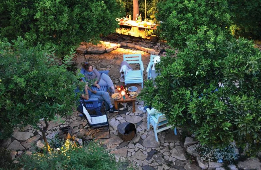 מראה אחיד של פריחה וניחוח הלוונדר.