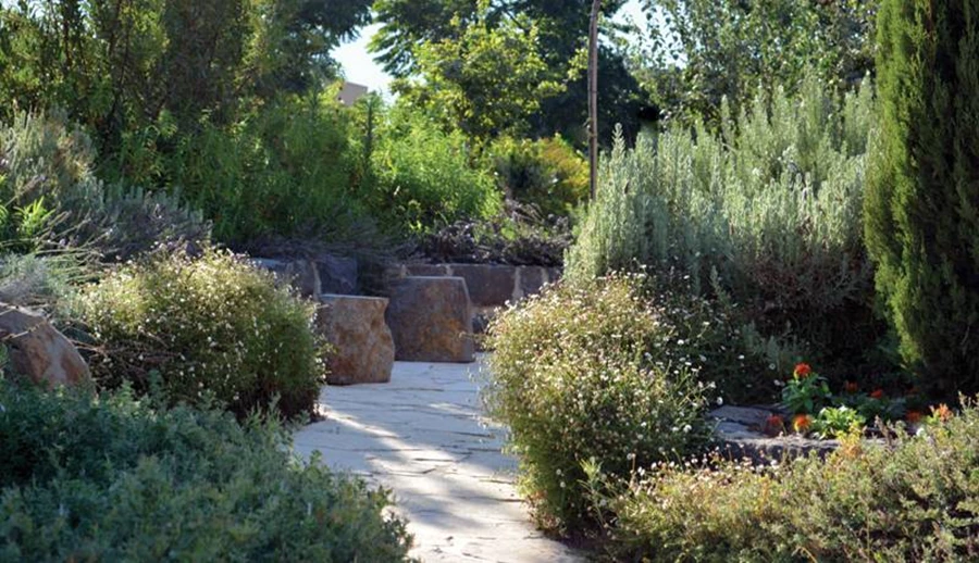 פינת ישיבה עטופת צמחיה . שימוש בצמחיה וחומרים מקומיים.