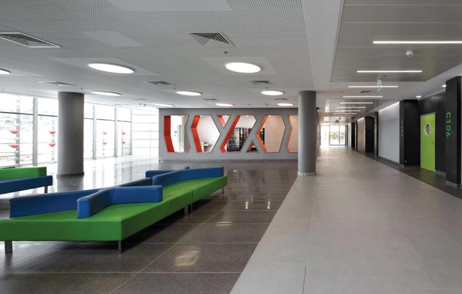 הכניסות לכיתות: מעין שערים בגון גרפיט עוטפים דלתות בירוק תפוח עם חלון הצצה עגול המעניק הצצה פנימה וחושף המשכיות של השימוש בצבע. נגרות כניסות: