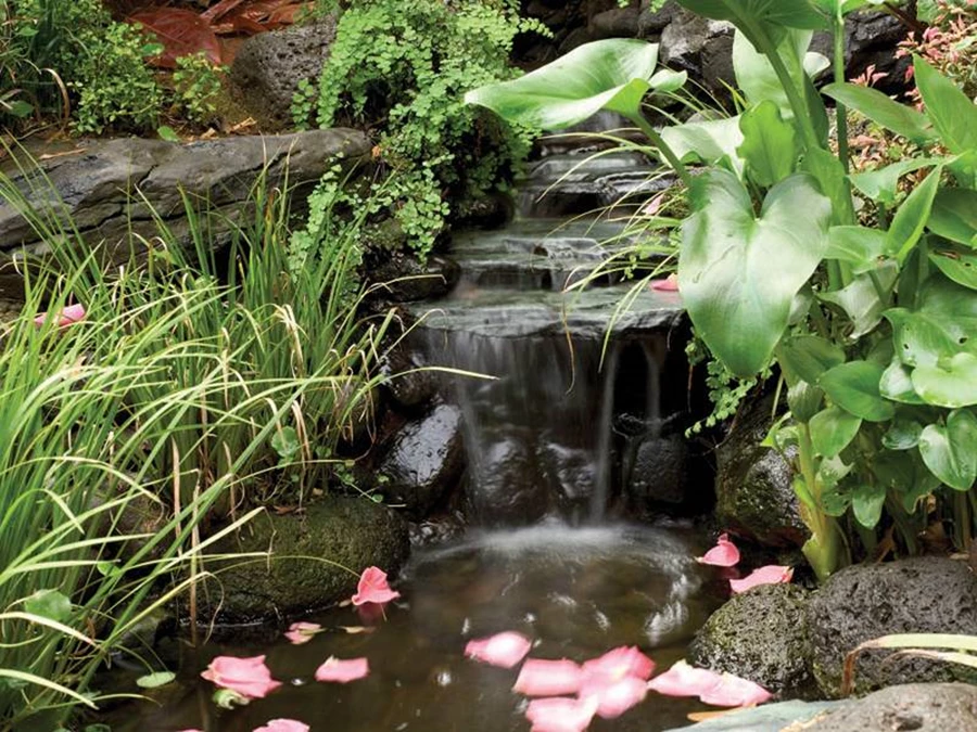 יצירת מעיין מפכפך בלב גן מטופח. אגמית בריכות נוי ובריכות שחיה במראה טבעי | אגמית בריכות נוי ובריכות שחיה במראה טבעי.