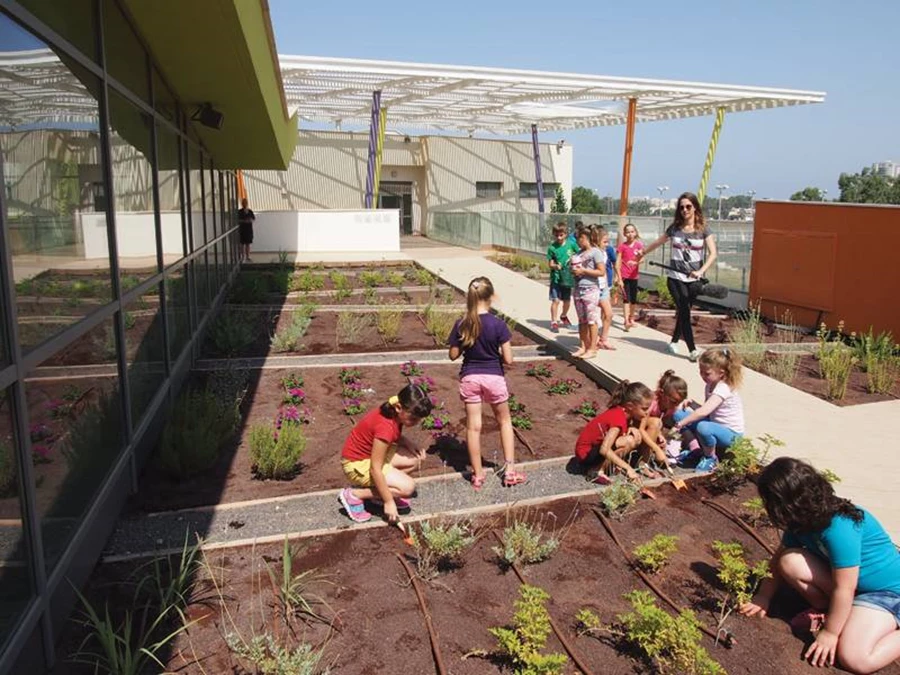 גינון הגג הירוק. צילום: kkarc