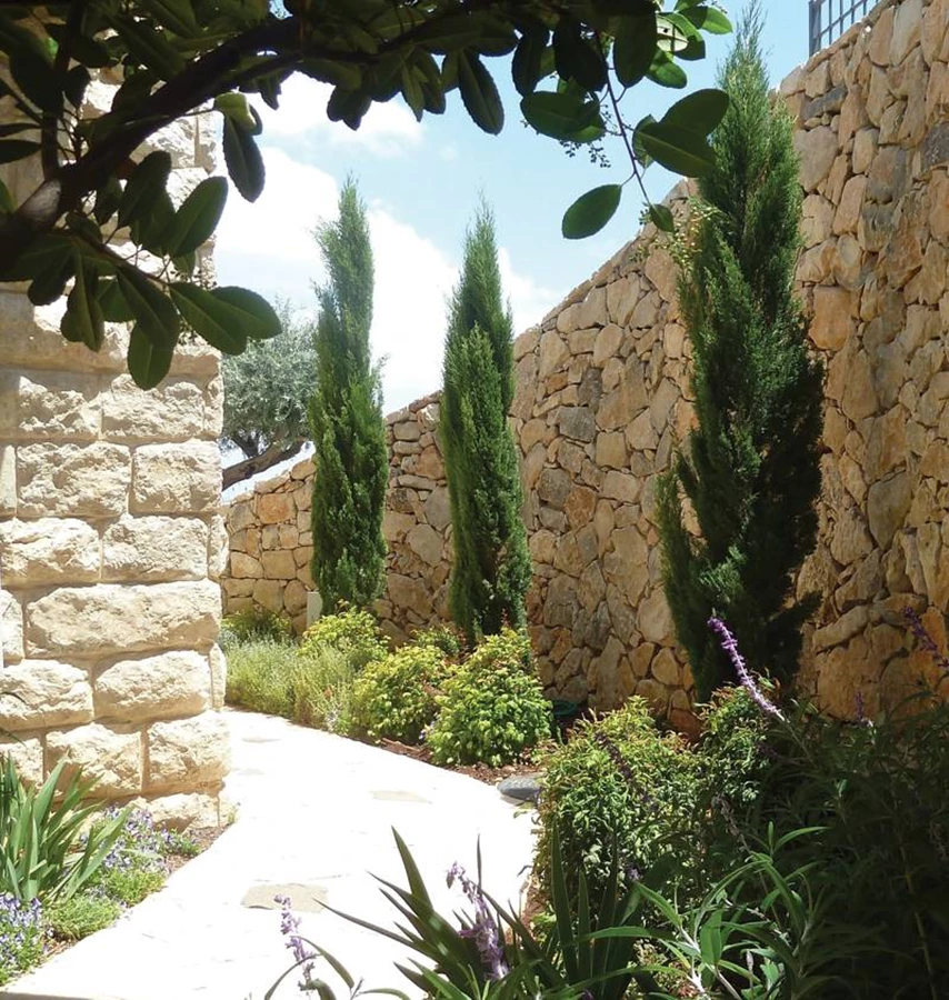 מעבר אל חדר שרות מלווה בצמחי תבלין.