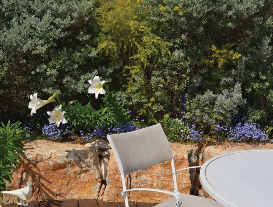 הפרטים הקטניים הם אלה שבונים את החוויה הכוללת. פריחה בגן תמרין