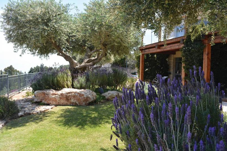 גן בדגש על סגנון ים תיכוני- עצי זית, סוגים שונים של אזוביון, צמחי תבלין. מדשאות פרטיות מהוות חלק ממרחב הכללי של הגן. מלון תמרין.