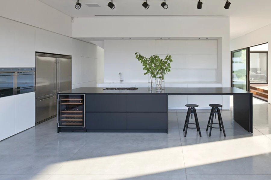 המטבח שבחלל הציבורי: יחידת אי שחורה, יחידת קיר המכילה אחסון ומכשירי חשמל, ומעין