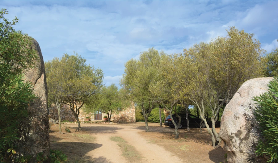 כניסה אל שאטח הגן, סלעים המסמלים את השער ועצי זית המלוים את הדרך