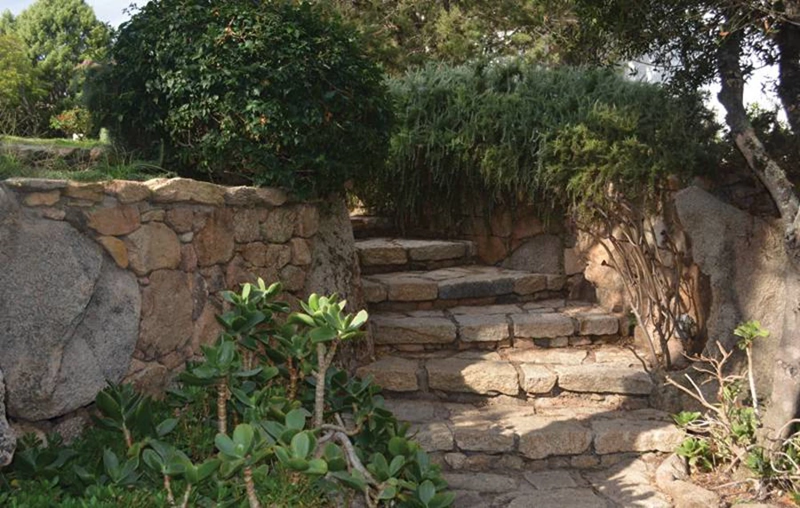 השתלבות בטופוגרפיה המקומית: טרסות ומדרגות.